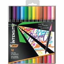 BIC BICFPINDP12AST Marker